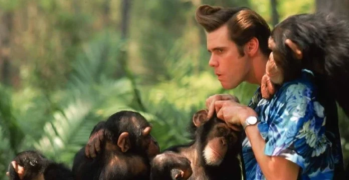 100 de citate Ace Ventura despre umor atemporal și altele