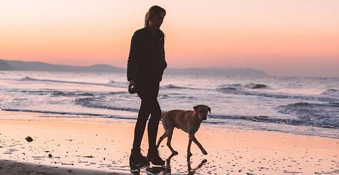 101 Citate de câini