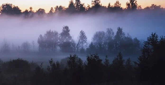 120 de citate din ceață despre minunile și fenomenele naturii