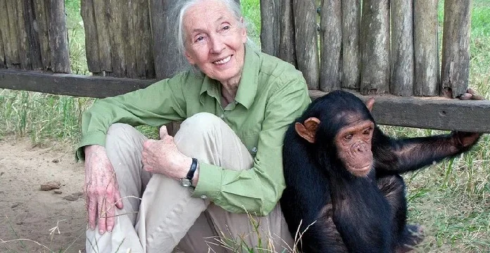120 de citate Jane Goodall despre animale și conservarea naturii