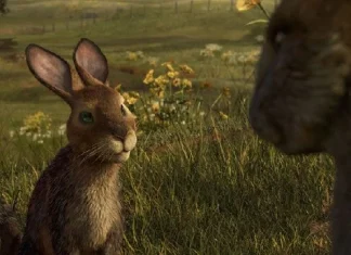 140 de citate Watership Down despre găsirea casei tale