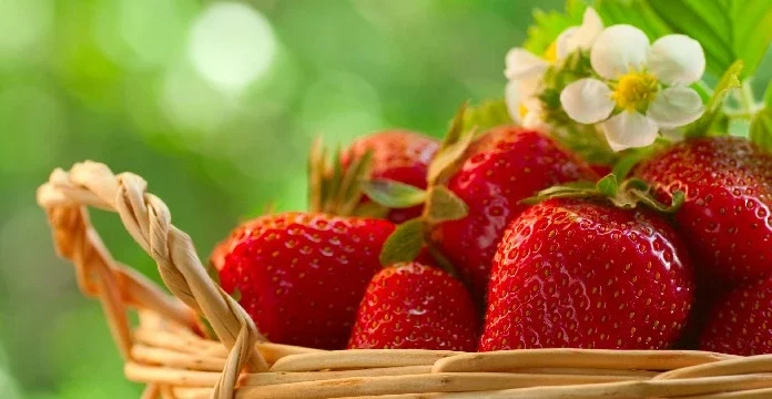 180 de citate de căpșuni pentru a te bucura de acest răsfăț dulce cu fructe de pădure
