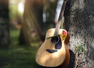 200 de citate la chitară care te vor încuraja să cânți muzică
