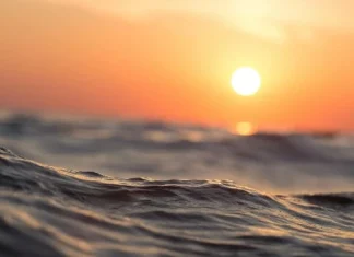 200 de citate oceanice despre minunile sale și frumusețea vieții