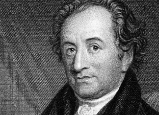 290 Citate Johann Wolfgang von Goethe despre devotament