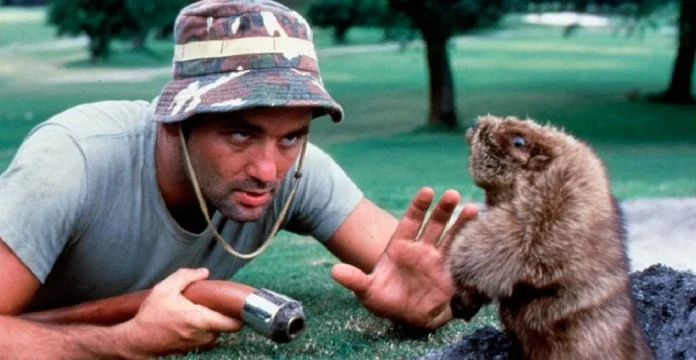 50 de citate Caddyshack despre golf, ambiție și succes
