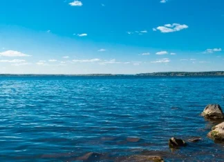 50 de citate despre lac care vă vor oferi liniște sufletească