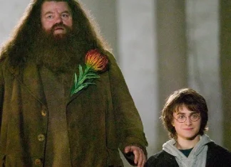 50 de citate Hagrid despre loialitatea neclintită și înfruntarea adevărului