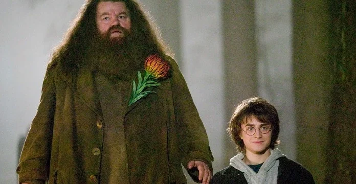 50 de citate Hagrid despre loialitatea neclintită și înfruntarea adevărului
