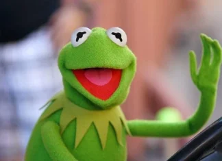 50 de citate Kermit the Frog pline de pozitivitate și dragoste