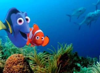 60 de citate despre Găsirea lui Nemo despre familie, prietenie și distracție