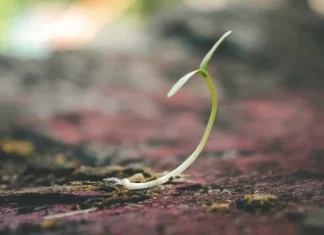 70 de citate de speranță care să te inspire să nu renunți niciodată în viață