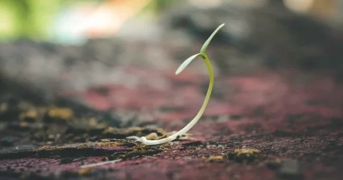 70 de citate de speranță care să te inspire să nu renunți niciodată în viață