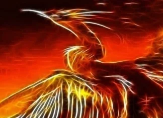 70 de citate Phoenix care vor ajuta la revenirea la viață