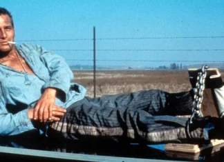 90 de citate Cool Hand Luke pentru a scoate la iveală uimire