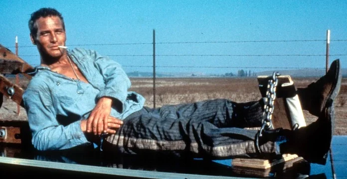 90 de citate Cool Hand Luke pentru a scoate la iveală uimire