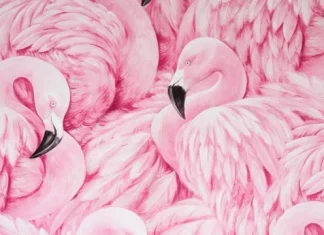 90 de citate cu flamingo care să te ajute să stai pe propriile tale picioare