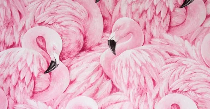 90 de citate cu flamingo care să te ajute să stai pe propriile tale picioare