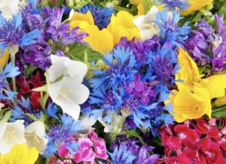 Cele mai frumoase 60 de citate de primavara