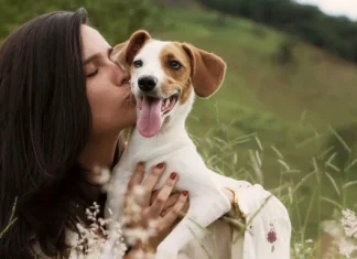 Citate despre incredere (in Altii, in dragoste)