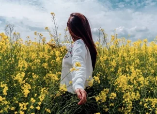 Citate despre perfectiune