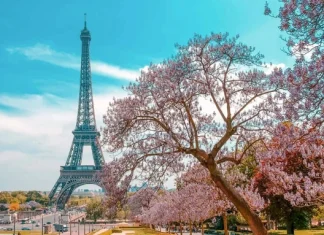 Citate despre Paris