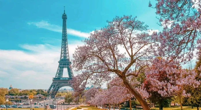 Citate despre Paris