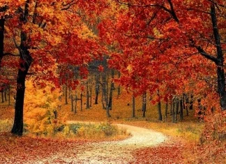 Citate despre toamnă