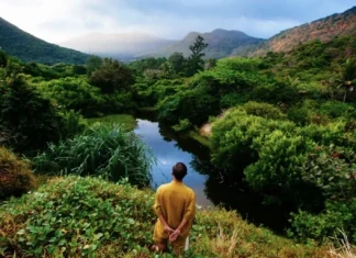 Citate despre libertate in engleza