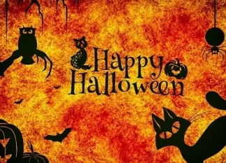 Fraze amuzante pentru Halloween