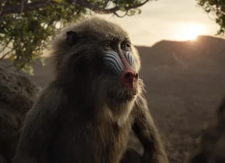 Cele mai frumoase 60 de Citate zen despre viata