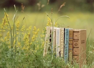 Poezii despre Tacere