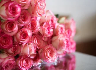 85 Cele mai frumoase citate de dragoste pentru ea cu o imagine gratuita