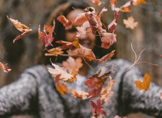 57 Citate si glume perfecte de toamna