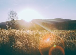 Mesaje si citate spirituale de buna dimineata