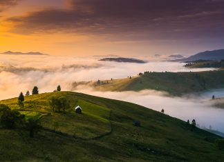 70+ Statusuri despre rasarit si palmieri pentru Instagram