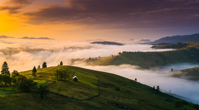 70+ Statusuri despre rasarit si palmieri pentru Instagram