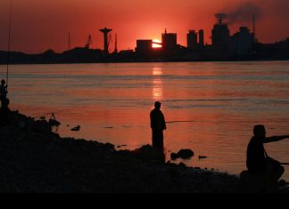 30 de expresii pentru a reflecta asupra mediului inconjurator si al naturii
