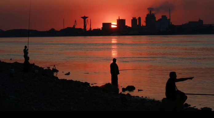 30 de expresii pentru a reflecta asupra mediului inconjurator si al naturii