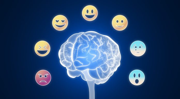 65 de fraze despre inteligenta emotionala